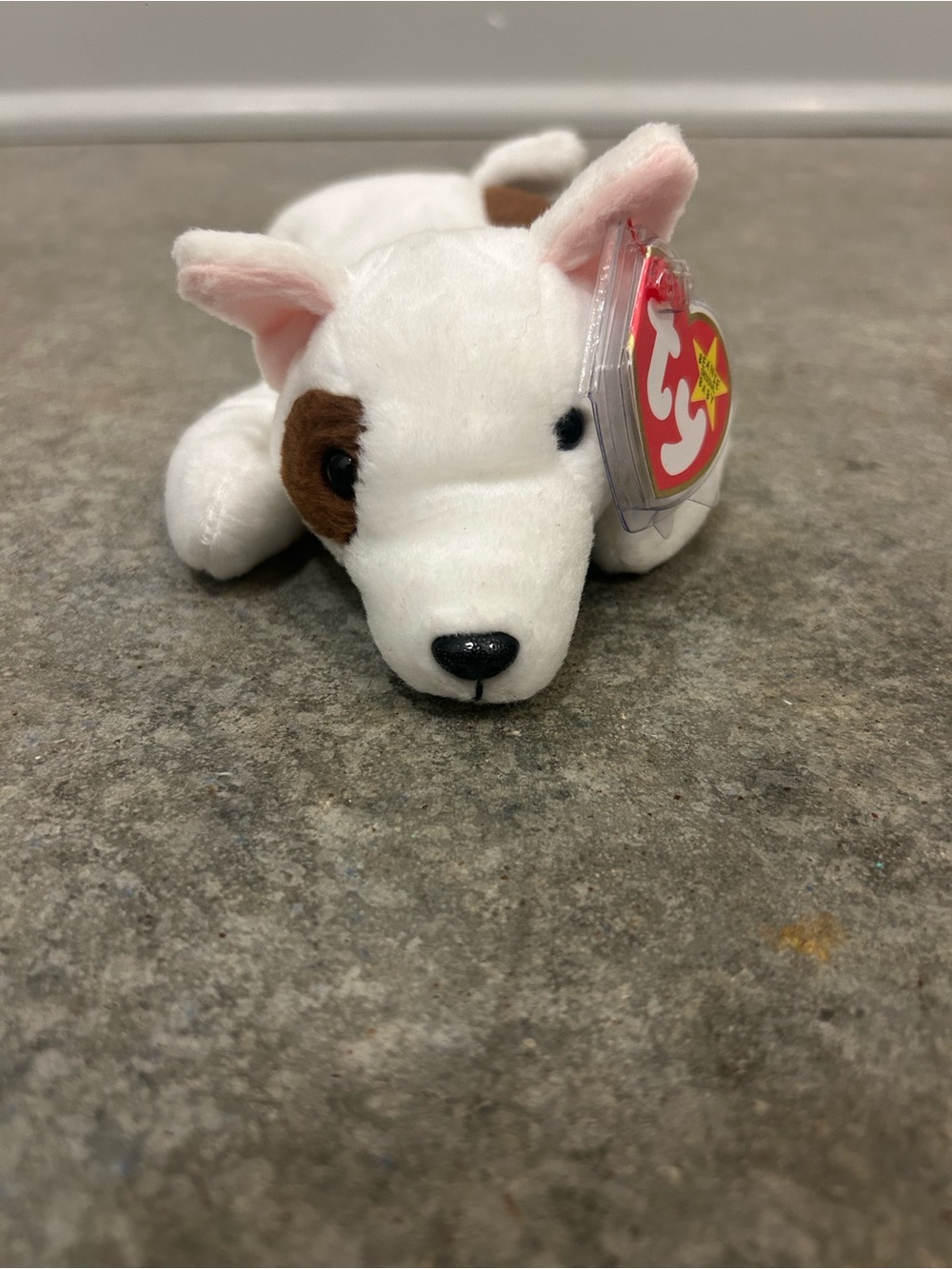 TY Beanie Babies Butch Bulldog Dog 1998 Vintage Plush Tag Attached Collectible